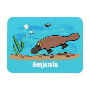 Ímã Um desenho animado para a natação em platypus