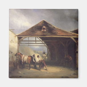 Imã Um Farrier que calça um cavalo