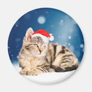 Imã Um gato bonito vestindo o Papai Noel vermelho e a 