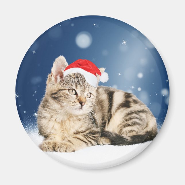 Imã Um gato bonito vestindo o Papai Noel vermelho e a  (Frente)