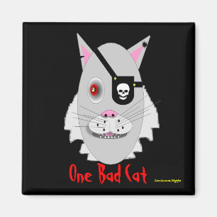 Imã Um gato mau