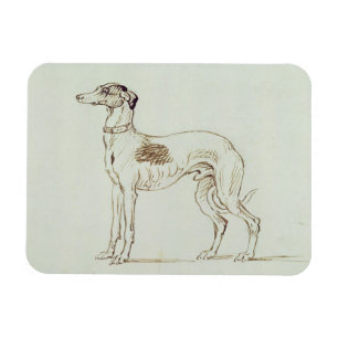 Ímã Um Greyhound, virado para a esquerda (caneta e tin