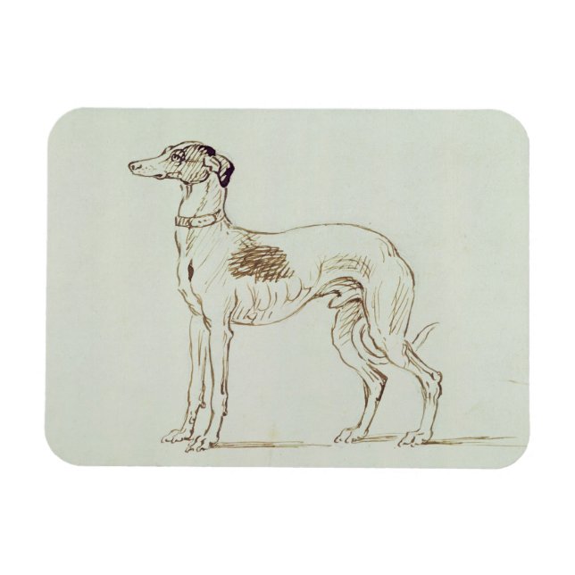 Ímã Um Greyhound, virado para a esquerda (caneta e tin (Horizontal)
