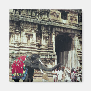 Imã Um homem que está sendo abençoado por um elefant