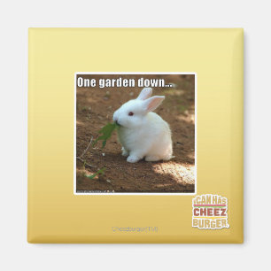 Imã Um jardim Down�