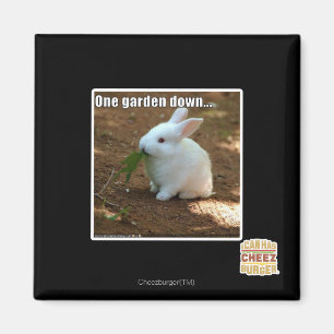 Imã Um jardim Down�