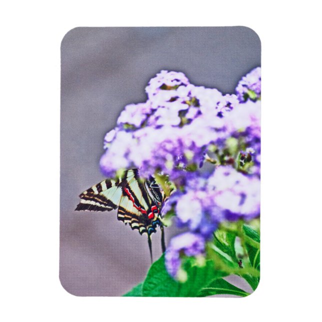 Ímã Um Jogo Esconder e Procurar (Vertical)