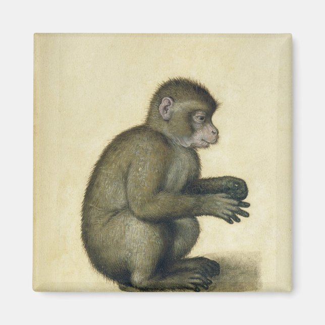 Imã Um Macaco (Frente)