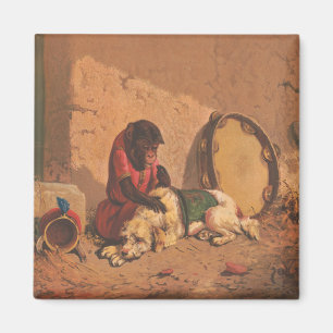 Imã Um Macaco E Um Cachorro Com Um Grande Tambourino