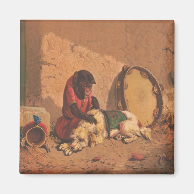 Imã Um Macaco E Um Cachorro Com Um Grande Tambourino (Frente)