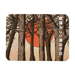 Ímã Um maravilhoso pôr do sol no bosque