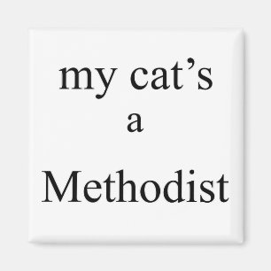 Imã Um metodista do meu gato