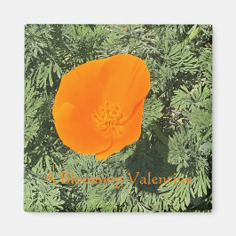 Imã Um Namorados Blooming