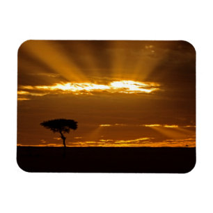 Ímã Um nascer do sol com a boca aberta no Maasai Mara