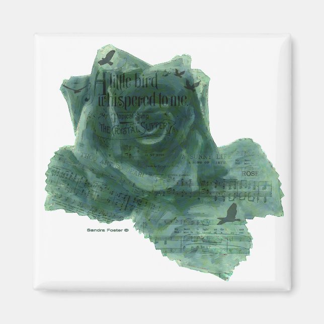 Imã Um Pássaro Me Disse Rosa (Frente)