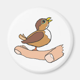 Imã Um Pássaro Na Mão