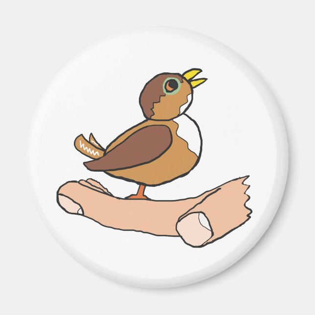 Imã Um Pássaro Na Mão (Frente)