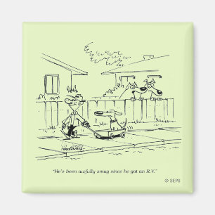 Imã Um passeio novo