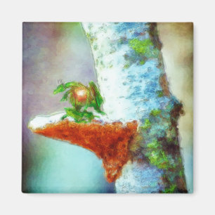 Imã Um Pequeno Dragão Dorme