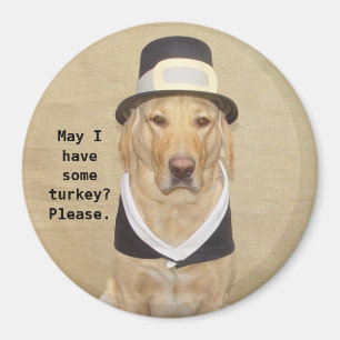 Imã Um peregrino abençoado