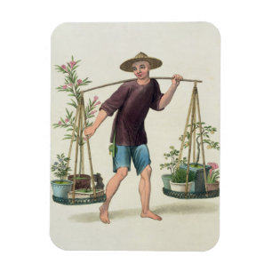 Ímã Um porteiro com árvores e flores de fruta, chapei
