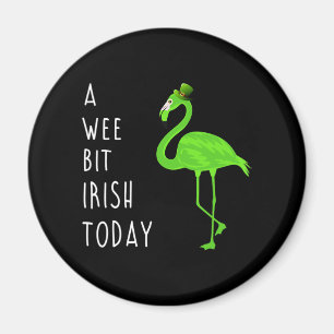 Imã Um Pouco De Irlandês Hoje Ruas. Dia da Patty Fla