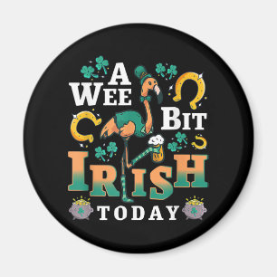 Imã Um Pouco De Irlandês Hoje Ruas. Dia De Patrick F