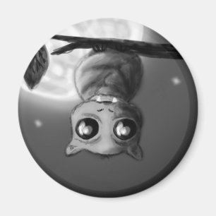 Imã Um pouco extravagantemente