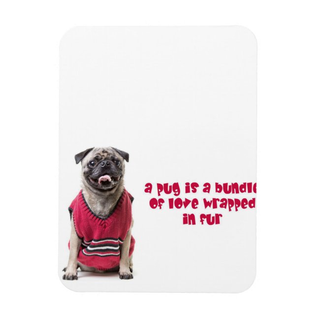 Ímã Um Pug É Um Pacote De Amor Envolvido Em Peles (Vertical)