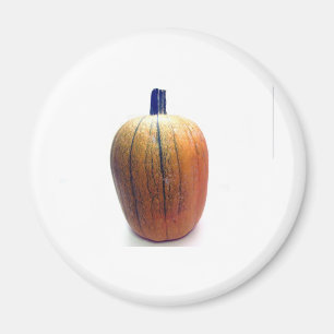 Imã Um Pumpkin Laranja