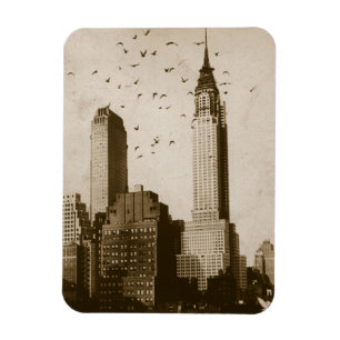 Ímã Um rebanho do voo dos pássaros