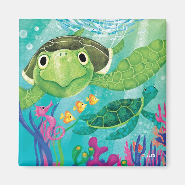 Imã Um Resgate de Tartaruga Marítima (Frente)