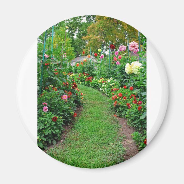 Imã Um Romance Decadente (Frente)