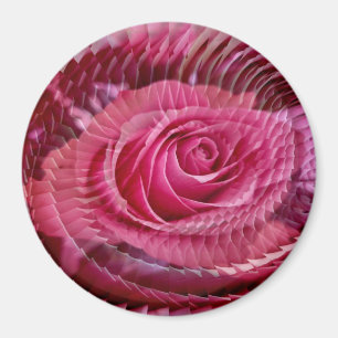 Imã Um Rosa é um rosa.......