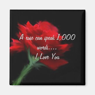 Imã Um Rosa pode falar mil palavras