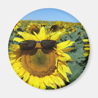 Imã Um rosto na multidão