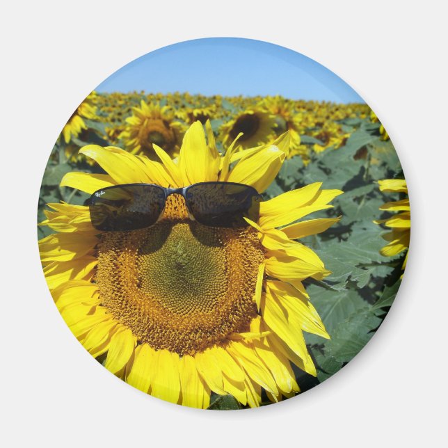 Imã Um rosto na multidão (Frente)