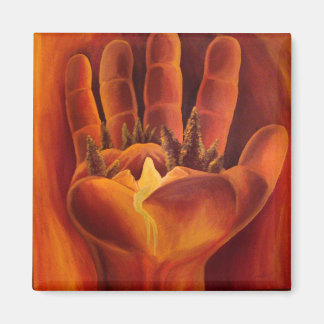 Imã Um Saldo Delicado