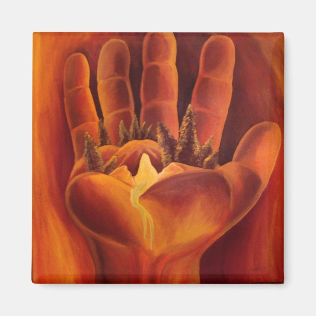 Imã Um Saldo Delicado (Frente)