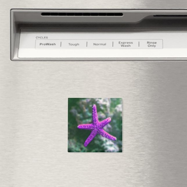Imã Um Starfish Rocky Beach roxo (In Situ (Dishwasher))