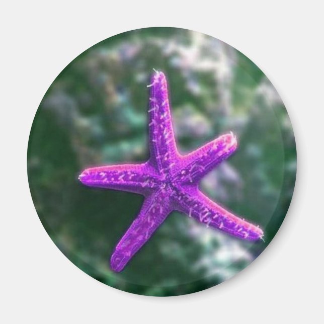 Imã Um Starfish Rocky Beach roxo (Frente)