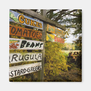 Imã Um suporte da fazenda em Holderness, New