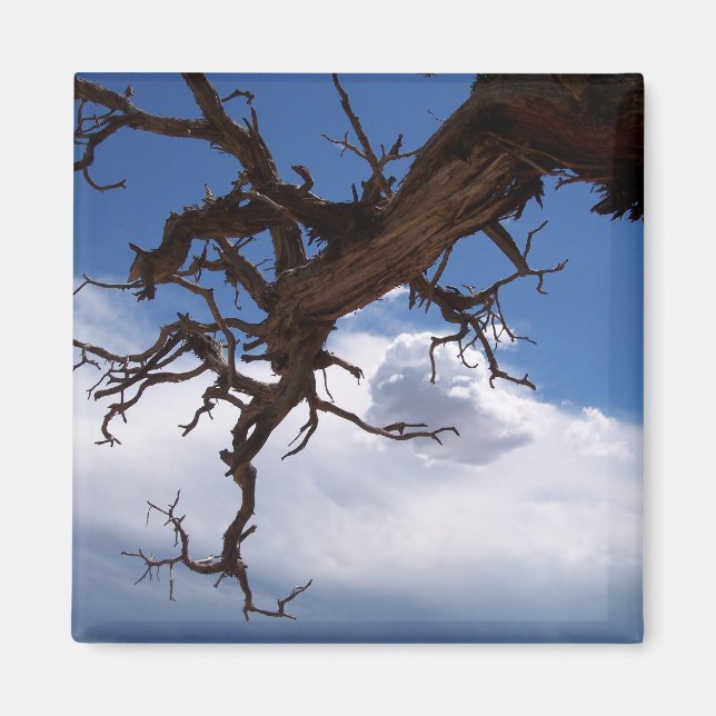 Imã Um verdadeiro Cliffhanger Magnet (Frente)