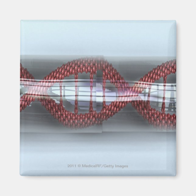 Imã Uma cadeia de DNA numa cápsula (Frente)