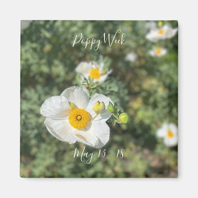 Imã Uma Califórnia florescente: Semana da Poppy (Frente)