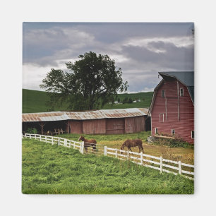 Imã Uma carona através da fazenda de Palouse 4