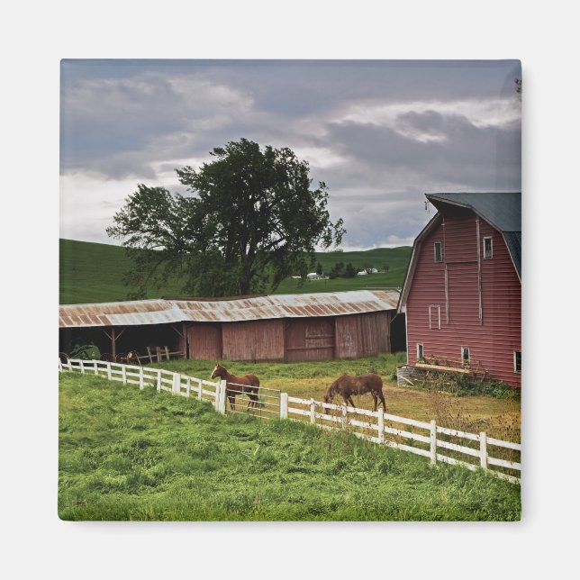 Imã Uma carona através da fazenda de Palouse 4 (Frente)