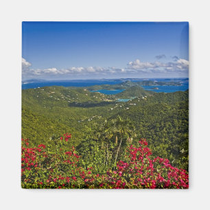 Imã Uma cena de Cruse Bay, Rua.