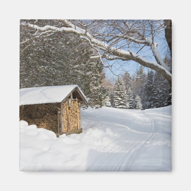 Imã Uma cena de neve no pequeno Lyford Pond da AMC (Frente)