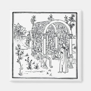 Imã Uma cena do jardim, de "Hypnerotomachia Poliphili"